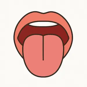 Tongue ลิ้น